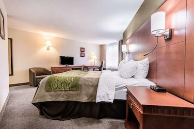 کمفرت این اند سویتز باری / اسا راد