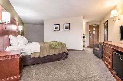 کمفرت این اند سویتز باری / اسا راد