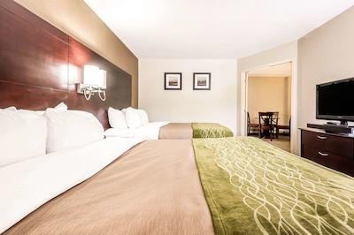 کمفرت این اند سویتز باری / اسا راد