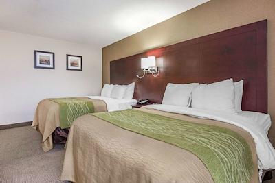 کمفرت این اند سویتز باری / اسا راد