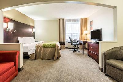 کمفرت این اند سویتز باری / اسا راد