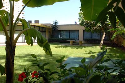 ملی کستا دل سُل