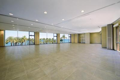 ملی کستا دل سُل