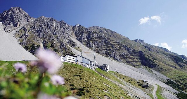 بست وسترن پلاس گولدنر ادلر