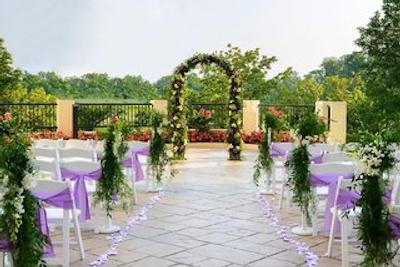 شراتون ویلمینگتون اسود