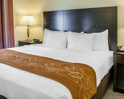 کمفرت سویتز فرنچ لیک