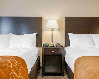 کمفرت سویتز فرنچ لیک