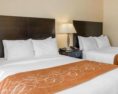 کمفرت سویتز فرنچ لیک