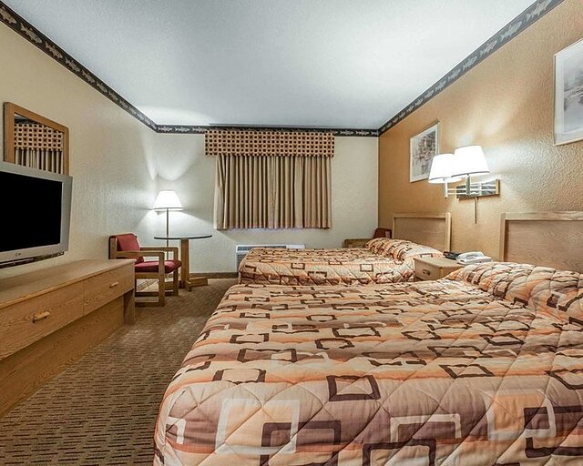 اکنو لج گاریبالدی