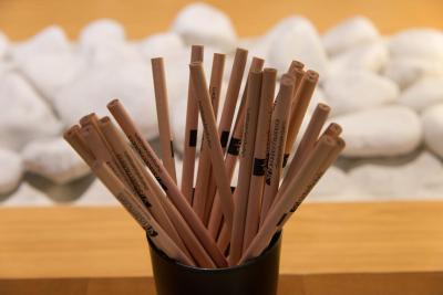 تیلسیت اتویل