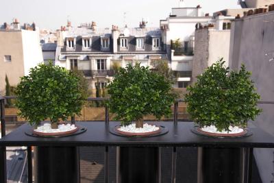 تیلسیت اتویل