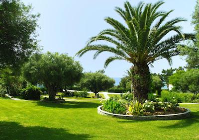 تریکرفو بیچ