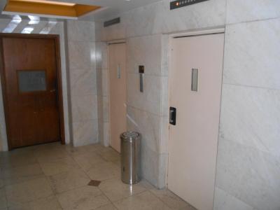 وینا دل مار