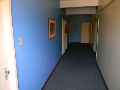 وینا دل مار