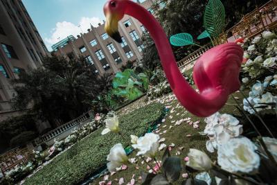 د کلی هتل شنزهن