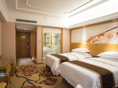 وینا هتل شنزهن پینگهو پلازا