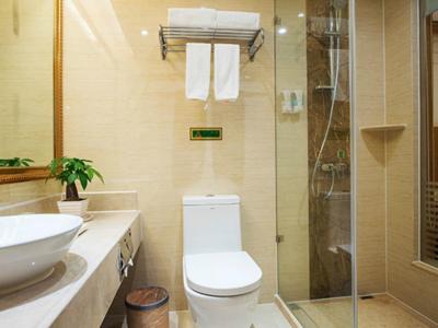 وینا هتل شنزهن پینگهو پلازا