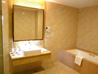 وینا هتل شنزهن پینگهو پلازا