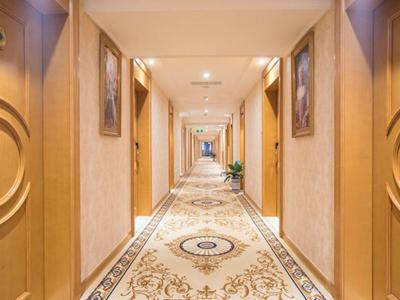 وینا هتل شنزهن پینگهو پلازا