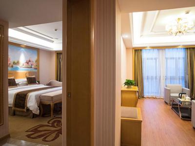 وینا هتل شنزهن پینگهو پلازا