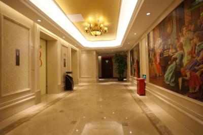 وینا هتل شنزهن پینگهو پلازا