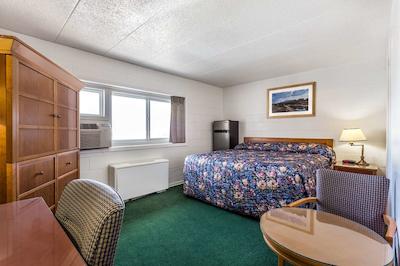 نایتز این موس جاو