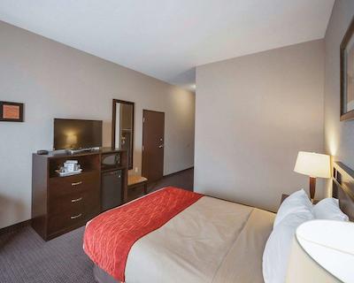 کمفرت این اند سویتز