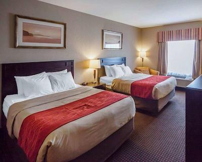 کمفرت این اند سویتز