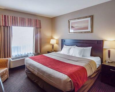 کمفرت این اند سویتز