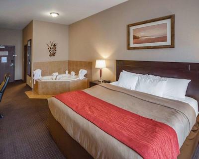 کمفرت این اند سویتز