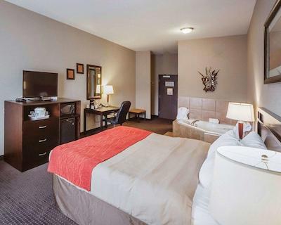 کمفرت این اند سویتز