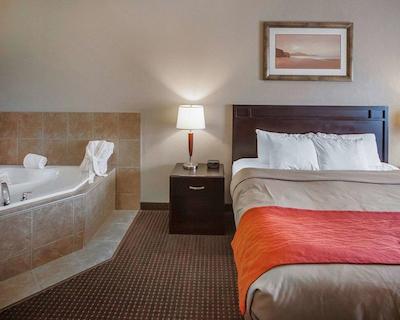 کمفرت این اند سویتز