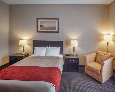 کمفرت این اند سویتز