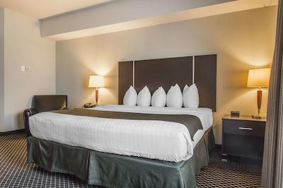 کوالیتی این اند سویتز پتاواوا