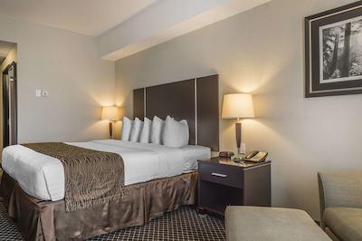 کوالیتی این اند سویتز پتاواوا