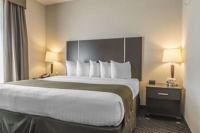 کوالیتی این اند سویتز پتاواوا