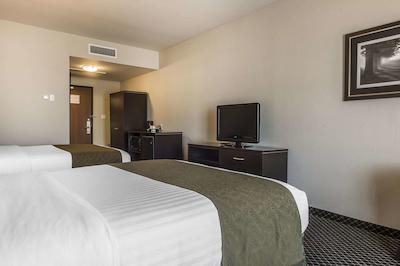 کوالیتی این اند سویتز پتاواوا