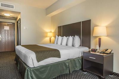 کوالیتی این اند سویتز پتاواوا