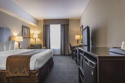 کوالیتی این اند سویتز پتاواوا