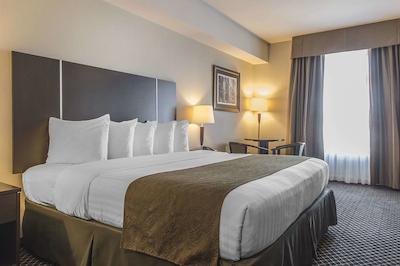 کوالیتی این اند سویتز پتاواوا