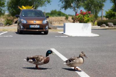 پتیت دج هتل بردیوکس لاک