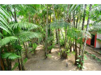 انکانتز دو نردست