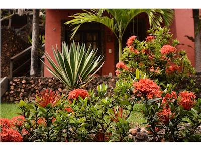 انکانتز دو نردست