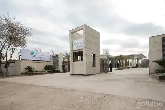اودلز چاتارپور