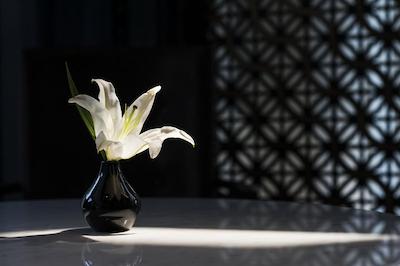 کراتون ات د پلازا