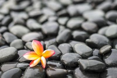 کراتون ات د پلازا