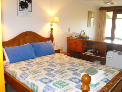 د فیگ تری ب اند ب