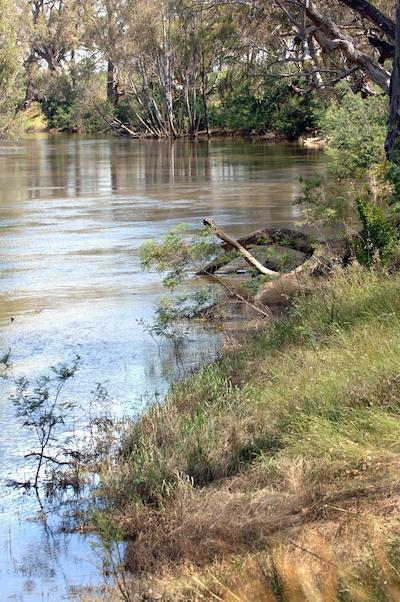 تکماتا رتریت