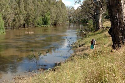 تکماتا رتریت