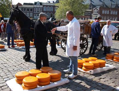 بست وسترن پلاس سیتی هتل گودا